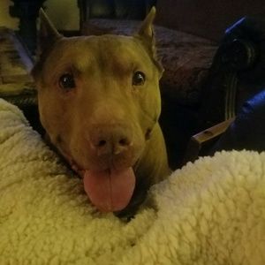 Meet your Posher, Sonja